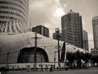 图像0976-8.jpg