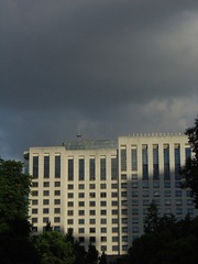 DSC05307.jpg