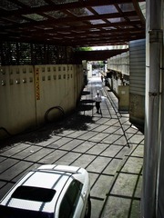 nEO_IMG_DSC05329.jpg