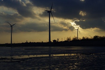 IMGP0267.jpg