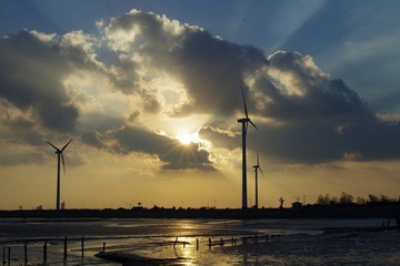 IMGP0270.jpg