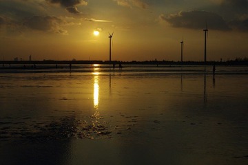 IMGP0278.jpg