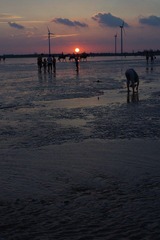 IMGP0371.jpg