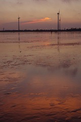IMGP0450.jpg