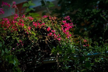nEO_IMG_IMGP1831.jpg
