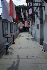 IMGP3723.jpg