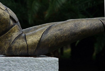 IMGP7481.jpg