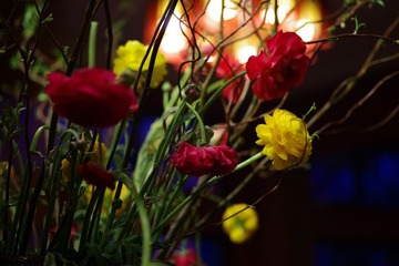 IMGP9347.jpg