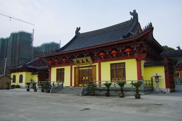 IMGP9727.jpg