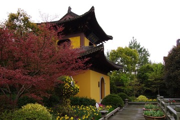 IMGP0895.jpg