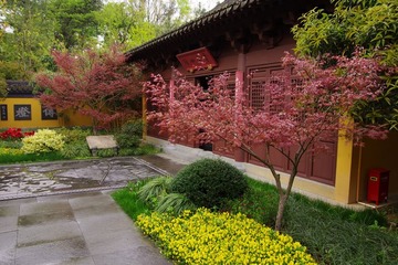 IMGP0900.jpg