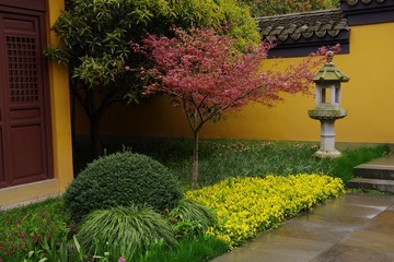 IMGP0907.jpg