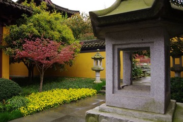 IMGP0911.jpg