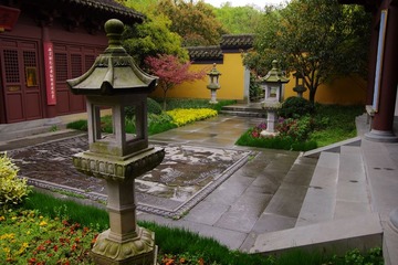 IMGP0914.jpg