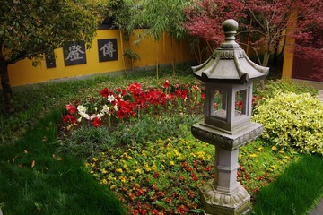 IMGP0917.jpg