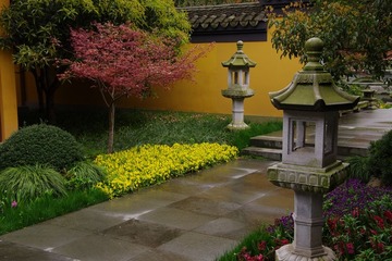 IMGP0918.jpg