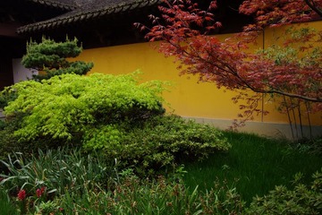 IMGP0923.jpg