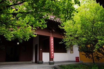 IMGP0929.jpg
