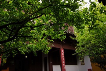 IMGP0930.jpg