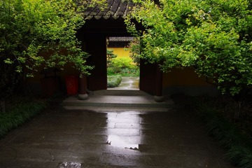 IMGP0932.jpg