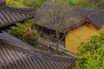 IMGP0941.jpg