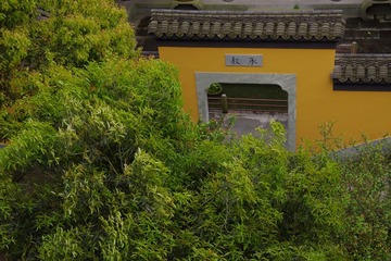 IMGP0942.jpg