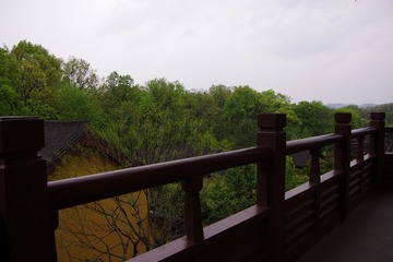 IMGP0945.jpg
