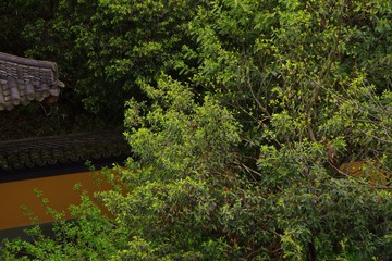 IMGP0949.jpg