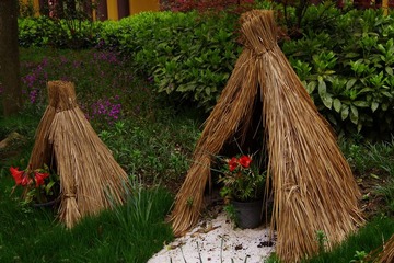 IMGP0955.jpg