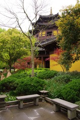 IMGP0956.jpg