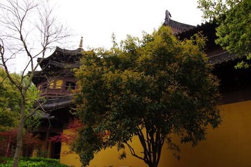IMGP0957.jpg