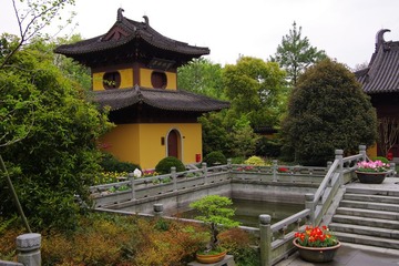 IMGP0958.jpg
