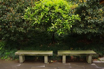 IMGP0961.jpg