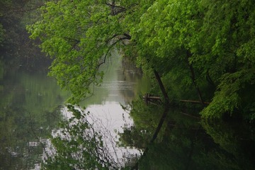 IMGP0721.jpg