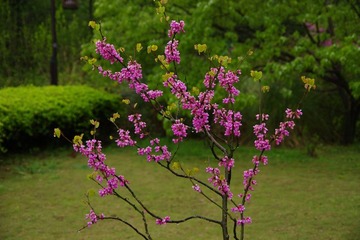 IMGP0744.jpg
