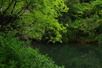 IMGP0755.jpg