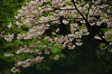 IMGP0773.jpg