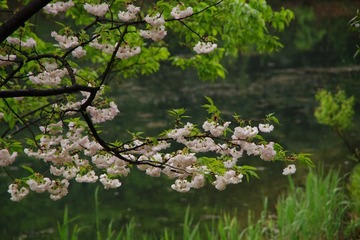 IMGP0775.jpg