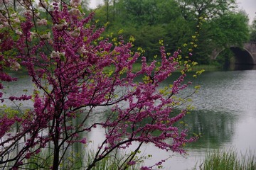 IMGP0829.jpg