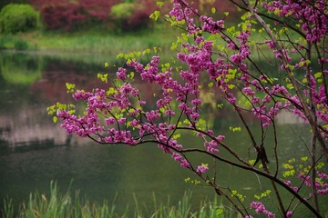 IMGP0832.jpg