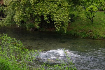 IMGP0851.jpg