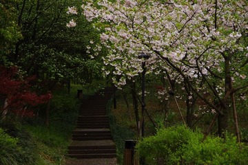 IMGP0869.jpg