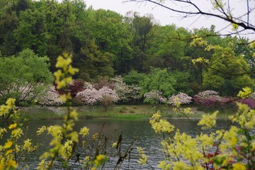 IMGP0877.jpg