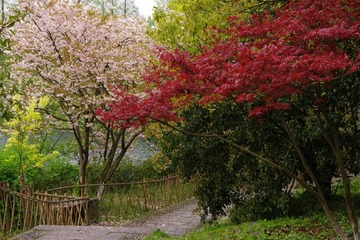 IMGP0882.jpg