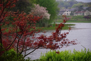 IMGP0885.jpg