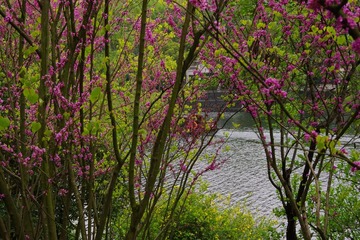 IMGP0888.jpg