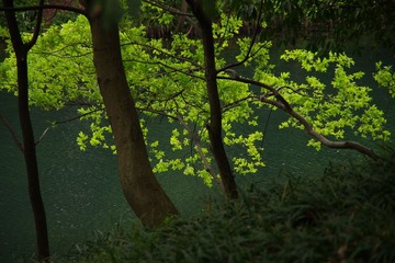 IMGP0972.jpg