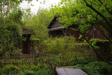 IMGP0977.jpg