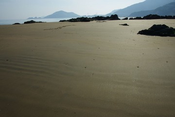 IMGP4339.jpg