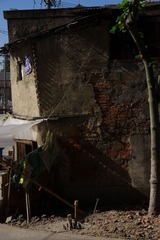 IMGP5905_